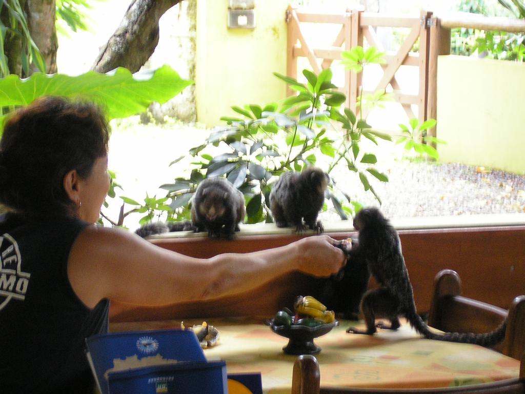 Pousada Solarium Itacaré Dış mekan fotoğraf